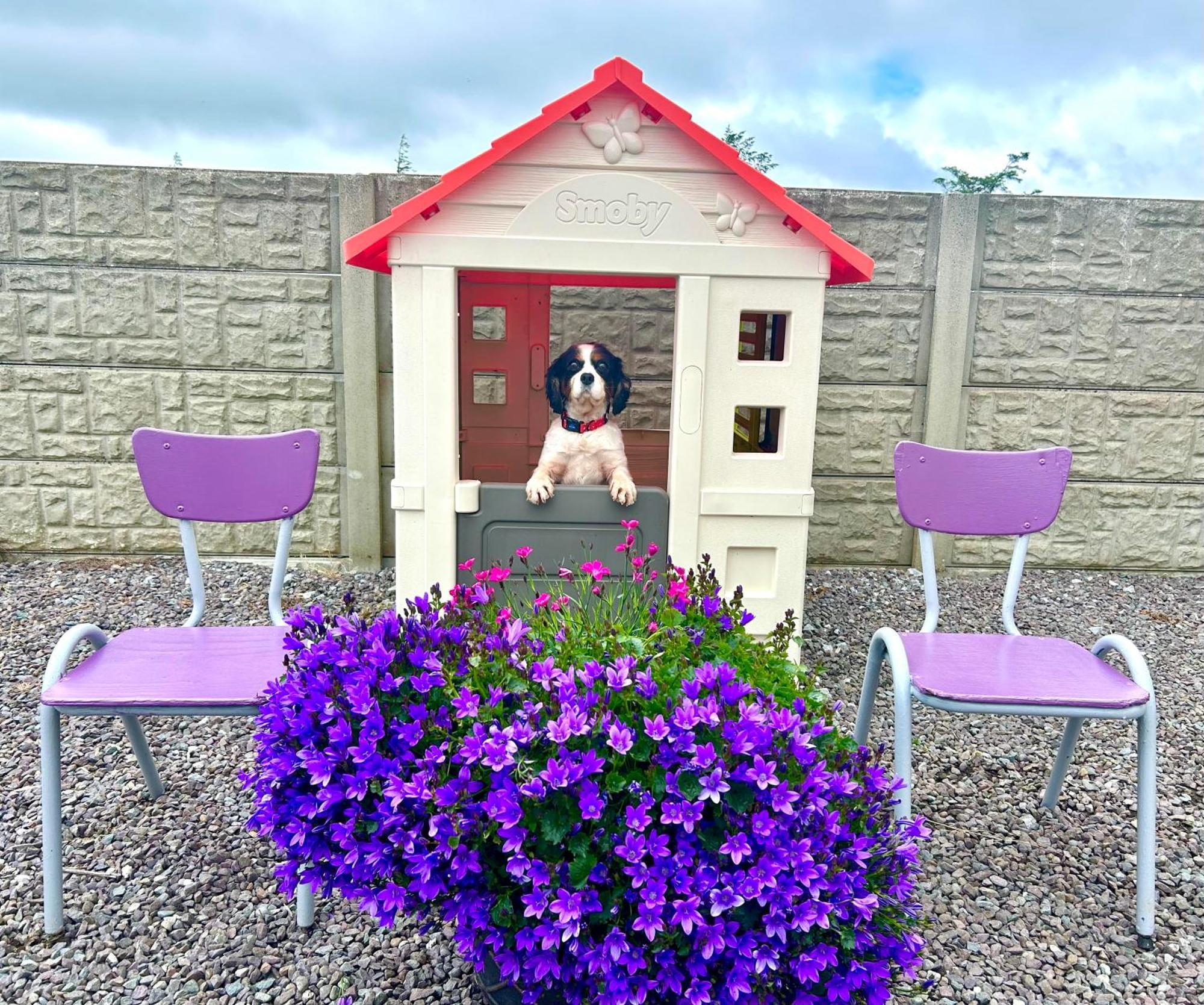 Breenville Farm House Tralee Kültér fotó